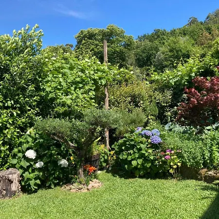 Vendégház Casa Da Lage T1 - 