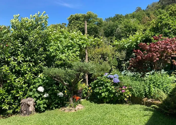 Vendégház Casa Da Lage T1 Com Lareira - Piscina - 